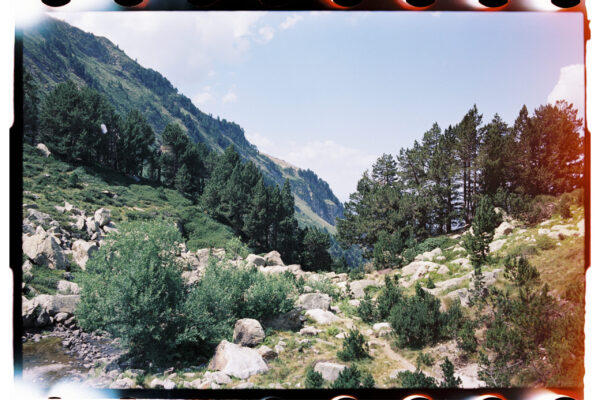 22951-1-scan-05