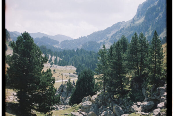 22951-1-scan-29
