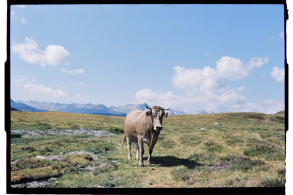 22951-1-scan-31